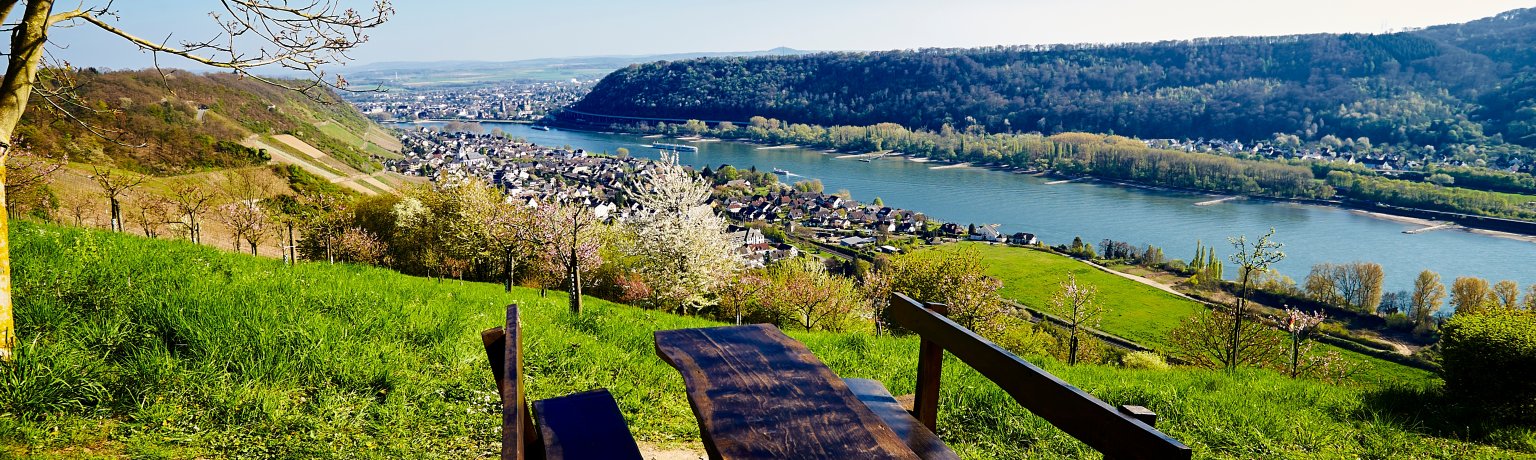 Aussicht auf den Rhein von Leutesdorf aus