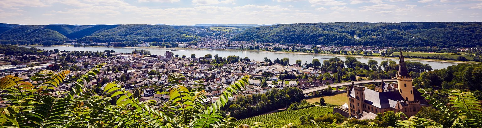 Schloss mit Stadt.jpg