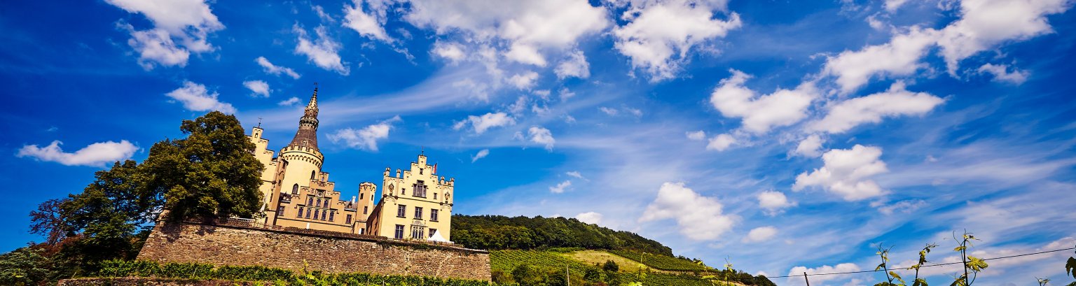 Aussicht auf Schloss Arenfels