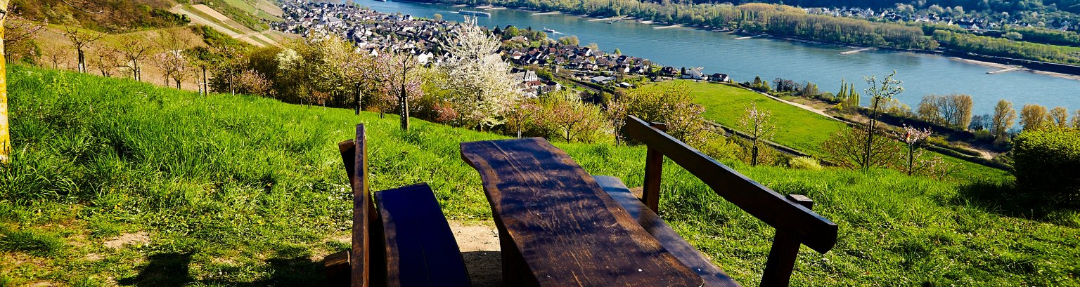 Aussicht über die Ortsgemeinde Leutesdorf
